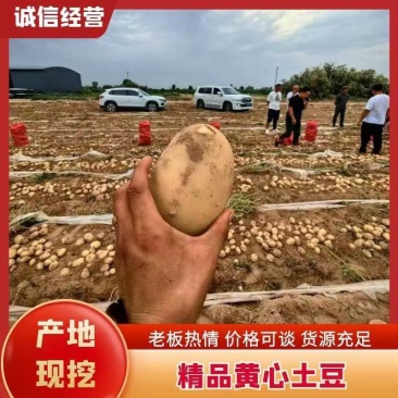 精品陕北沃土五号精品纯沙地v7价格合适产地直发全国发货