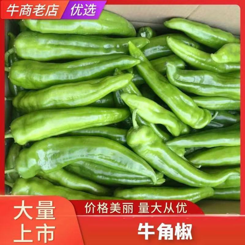 通货白泥井产地直销散装价格美丽全国发货量大优惠