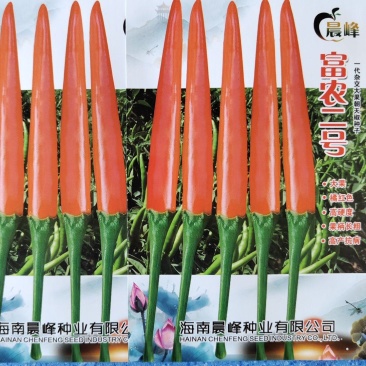 富农二号大果型朝天椒硬度好椒条顺直品质保证厂家直销