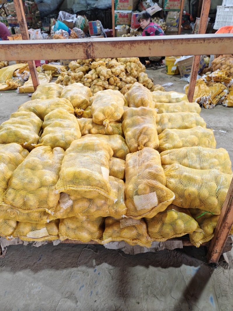 土豆（祥佳蔬菜合作社产地直发，新鲜供应）