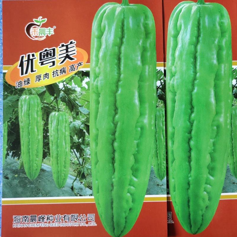 油绿有光泽肩平尾钝肉厚硬度好商品佳品质保证厂家发货