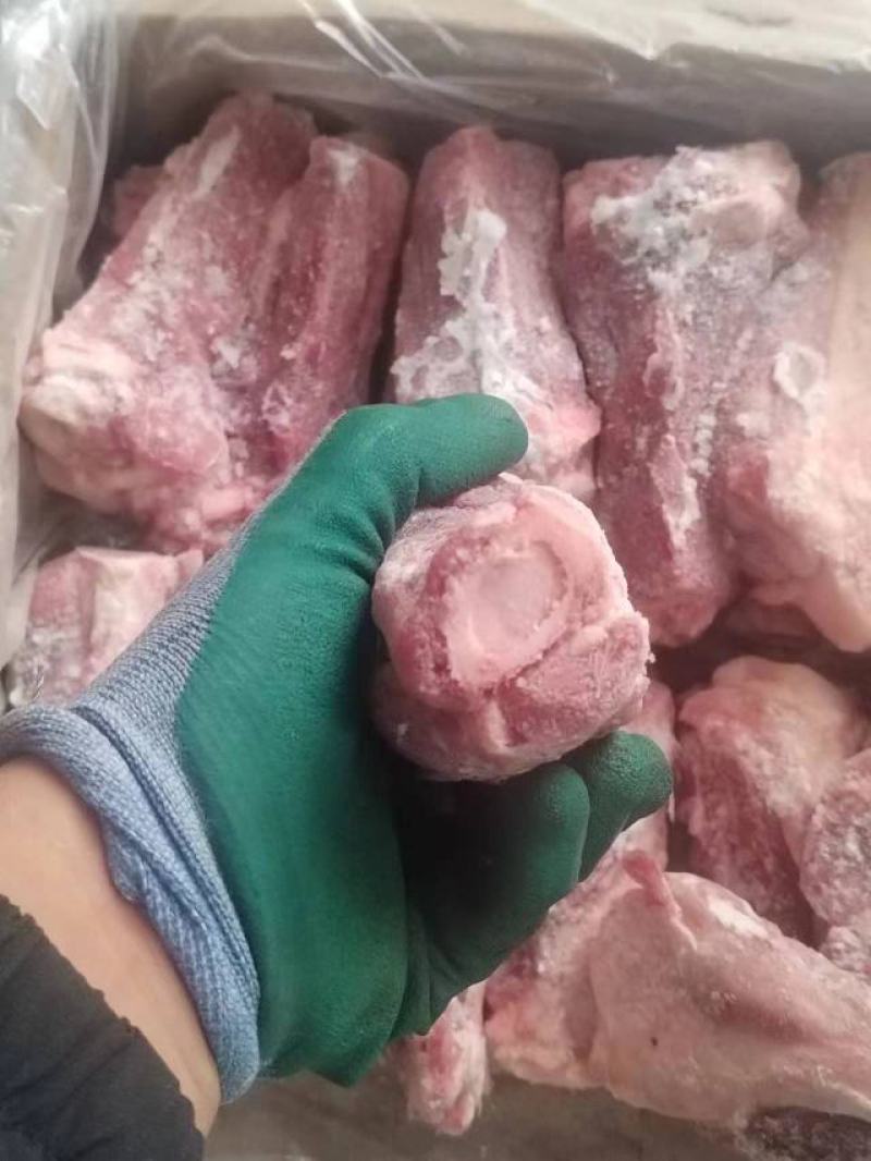 后肘骨