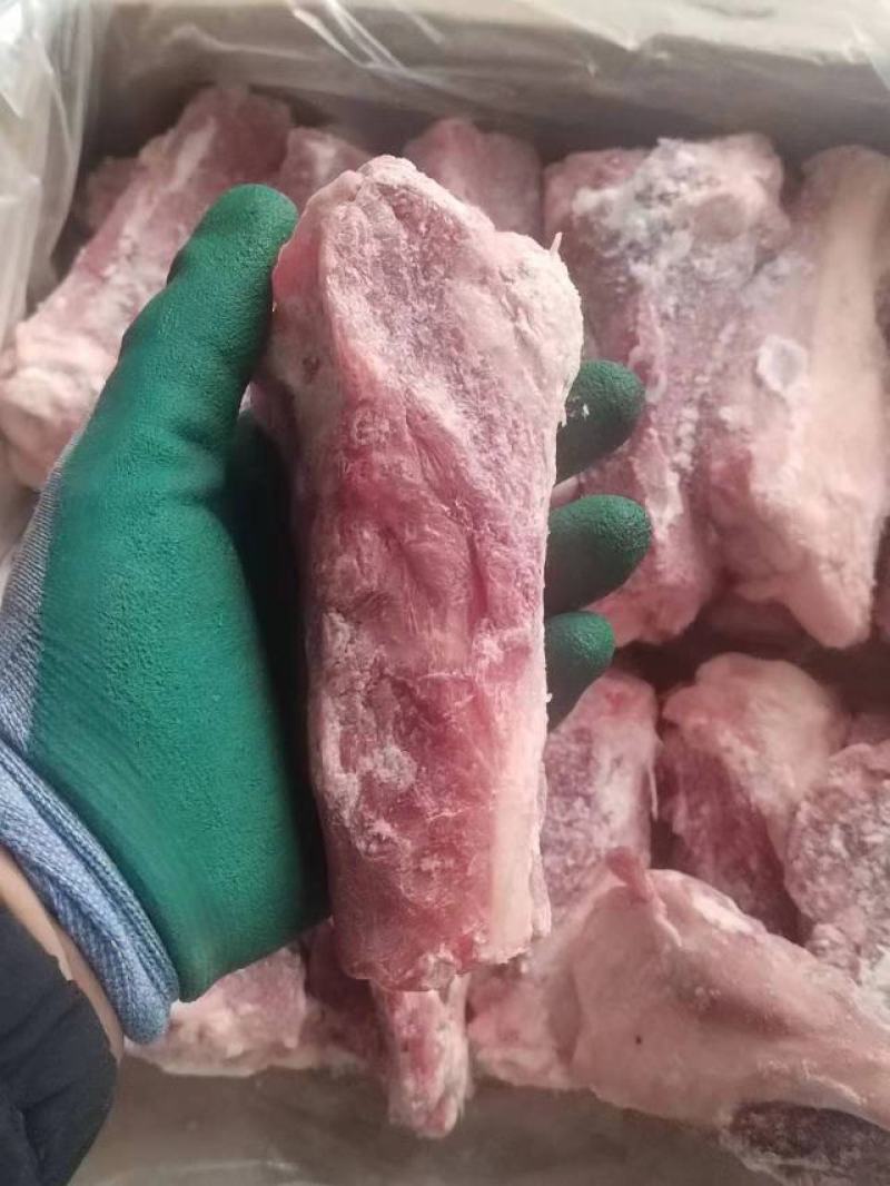 后肘骨
