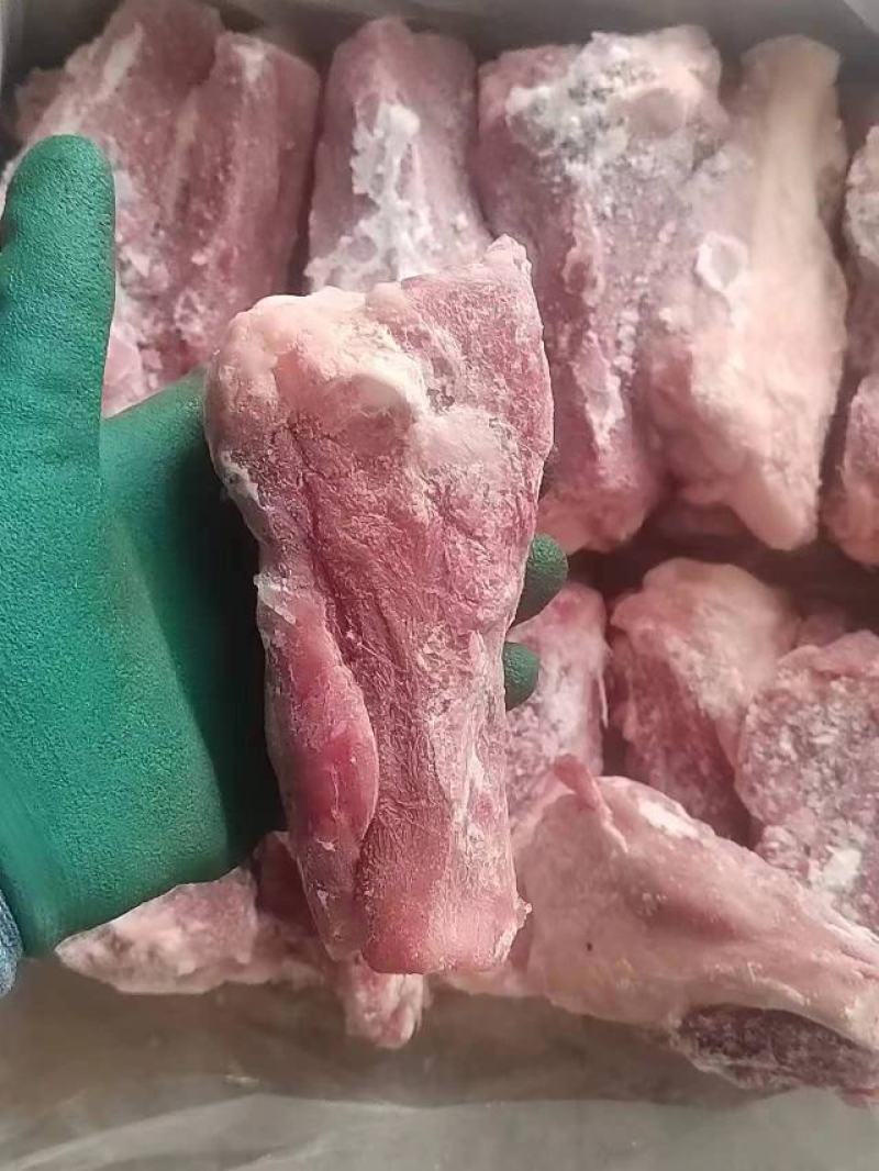 后肘骨