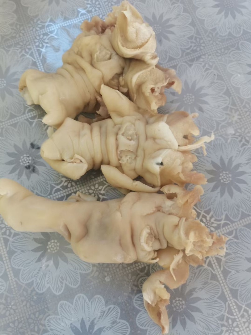 带毛乳牛头乳牛蹄可定做火烧水退牛头肉去骨牛蹄