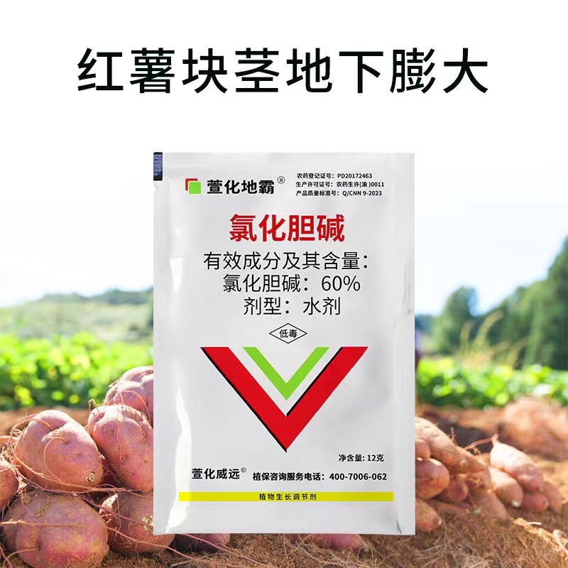 60%氯化胆碱：厂家直发地下作物膨大防畸形