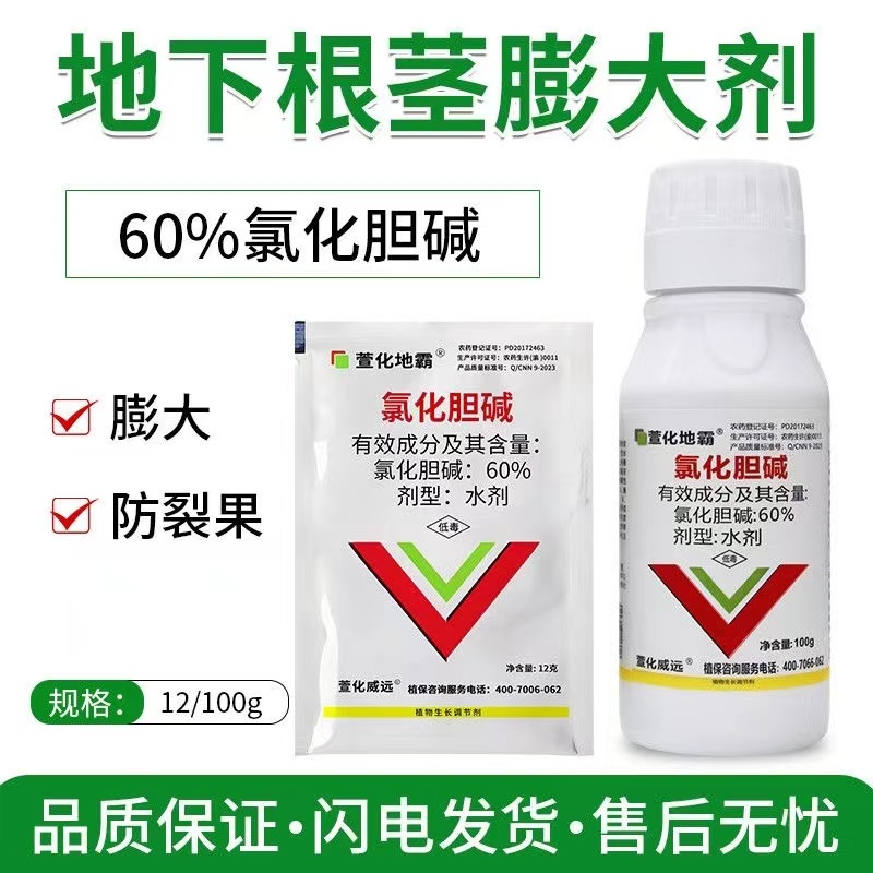 60%氯化胆碱：厂家直发地下作物膨大防畸形