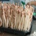 【实力】花生芽保质保量量大价优可视频看货欢迎选购