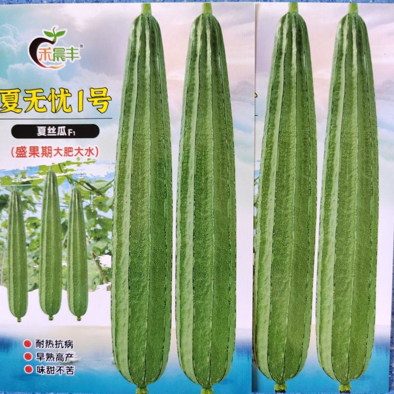 夏无忧早熟耐热耐湿少花点丝瓜一手货源品质保证