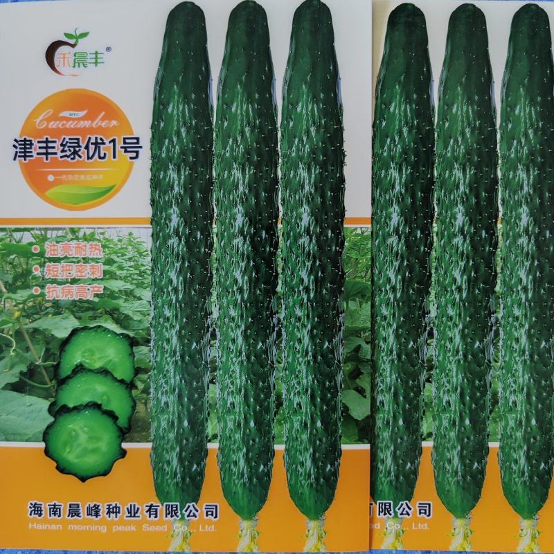 津丰绿优1号耐热油亮绿肉瓜条顺直把短一手货源品质保证