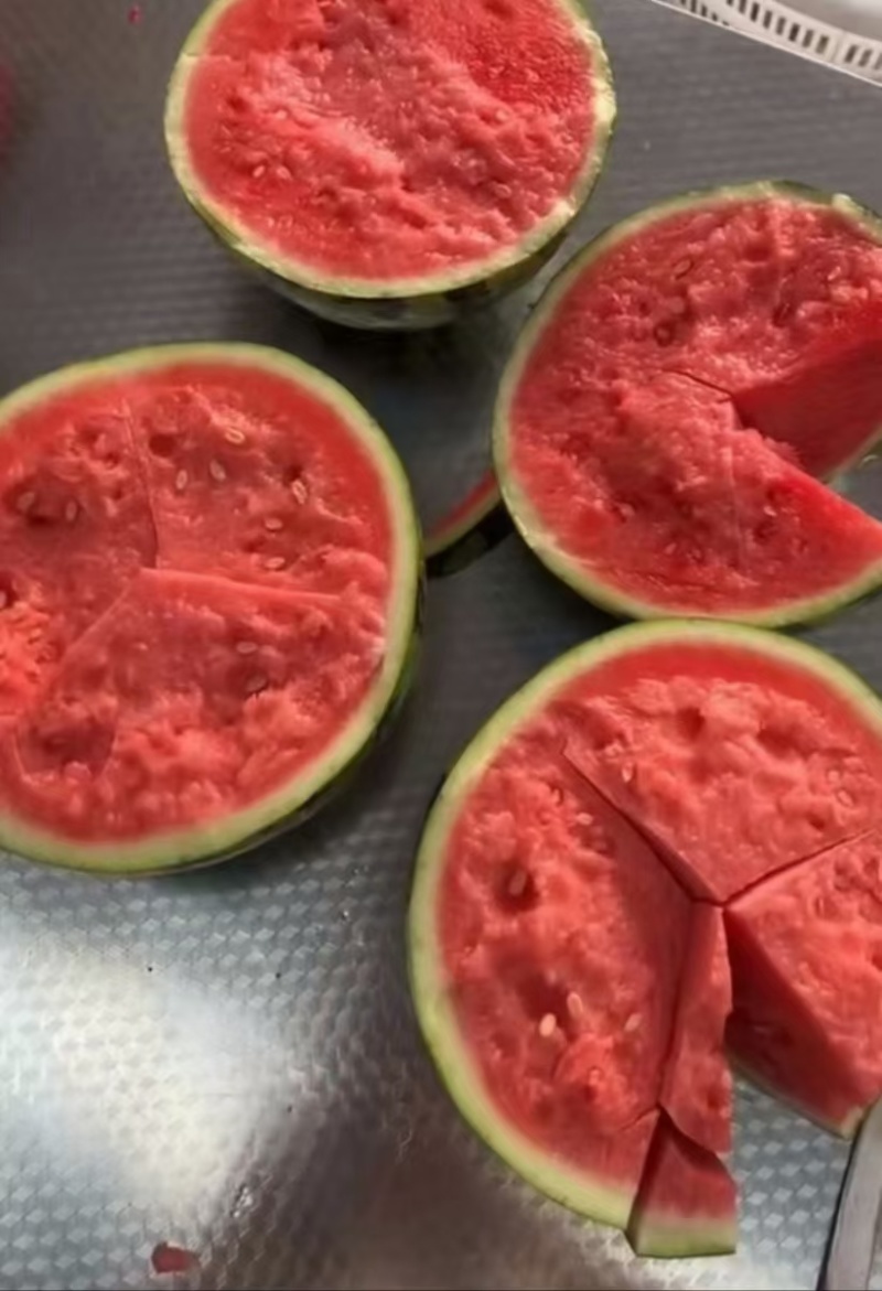 甘肃庆阳黄土高原精品美都麒麟大量上市质量保证全国代发货