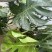 山东菌立清1千克货源充值厂家直发量大从优欢迎来电