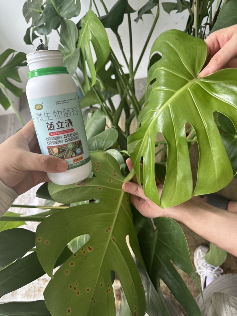 山东菌立清1千克货源充值厂家直发量大从优欢迎来电