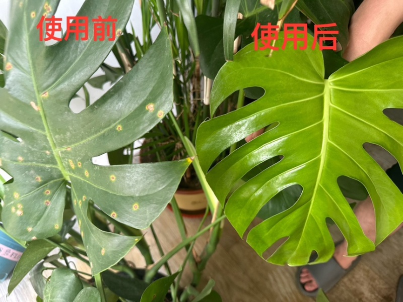山东菌立清1千克货源充值厂家直发量大从优欢迎来电