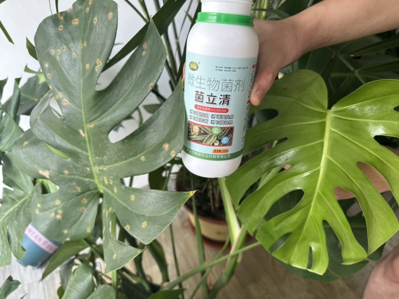 山东菌立清1千克货源充值厂家直发量大从优欢迎来电