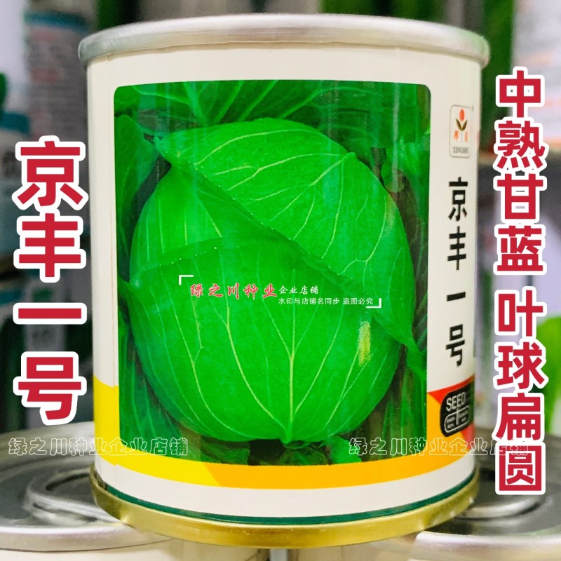 邢蔬京丰一号甘蓝种子扁圆形包菜种籽耐寒包头菜扁甘兰菜种子