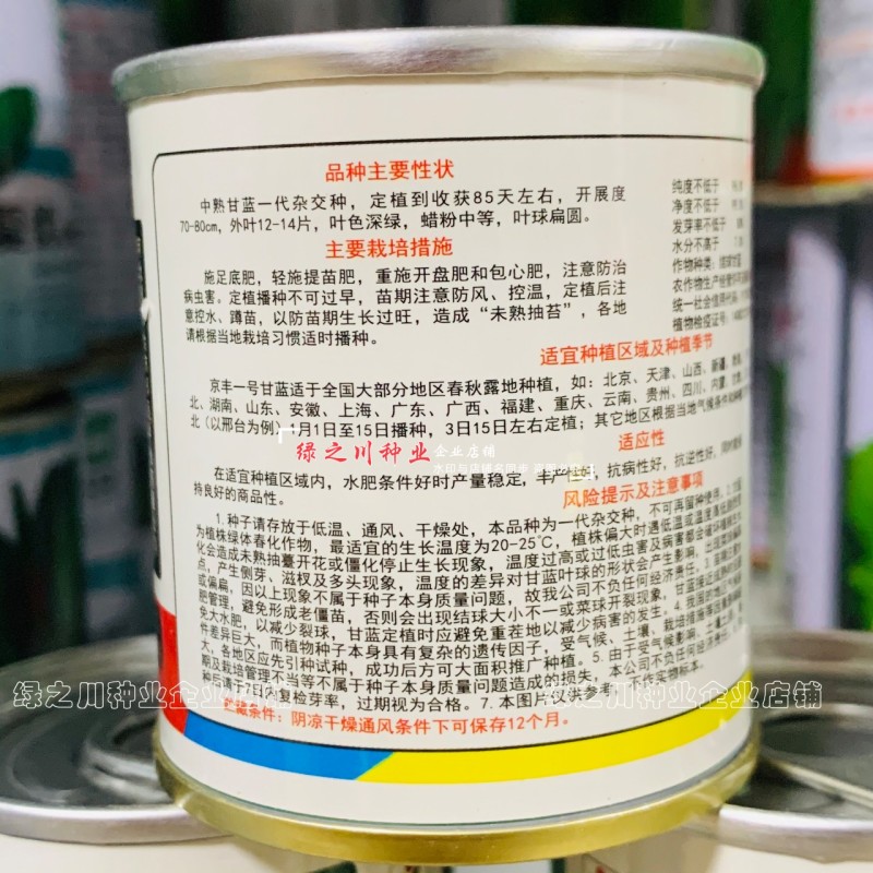 邢蔬京丰一号甘蓝种子扁圆形包菜种籽耐寒包头菜扁甘兰菜种子