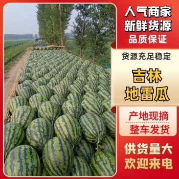 【精品头茬】沈阳产区精品甜王大量上市包熟包甜全国发货