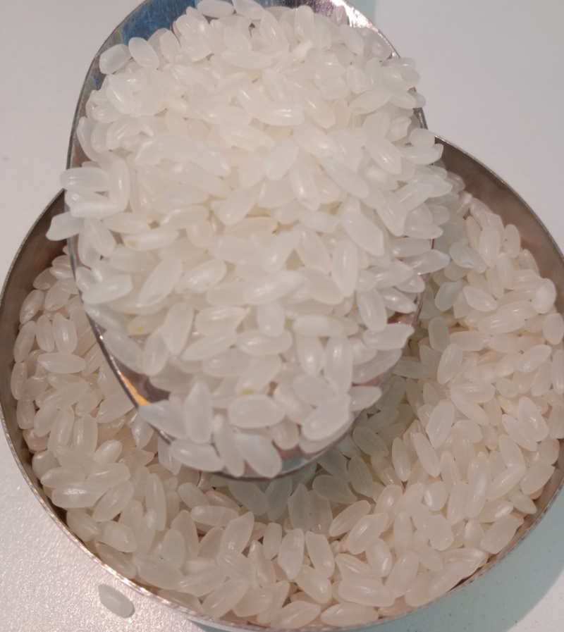 东北长粒香大米颗颗饱满粒粒香原产地直发大量供应