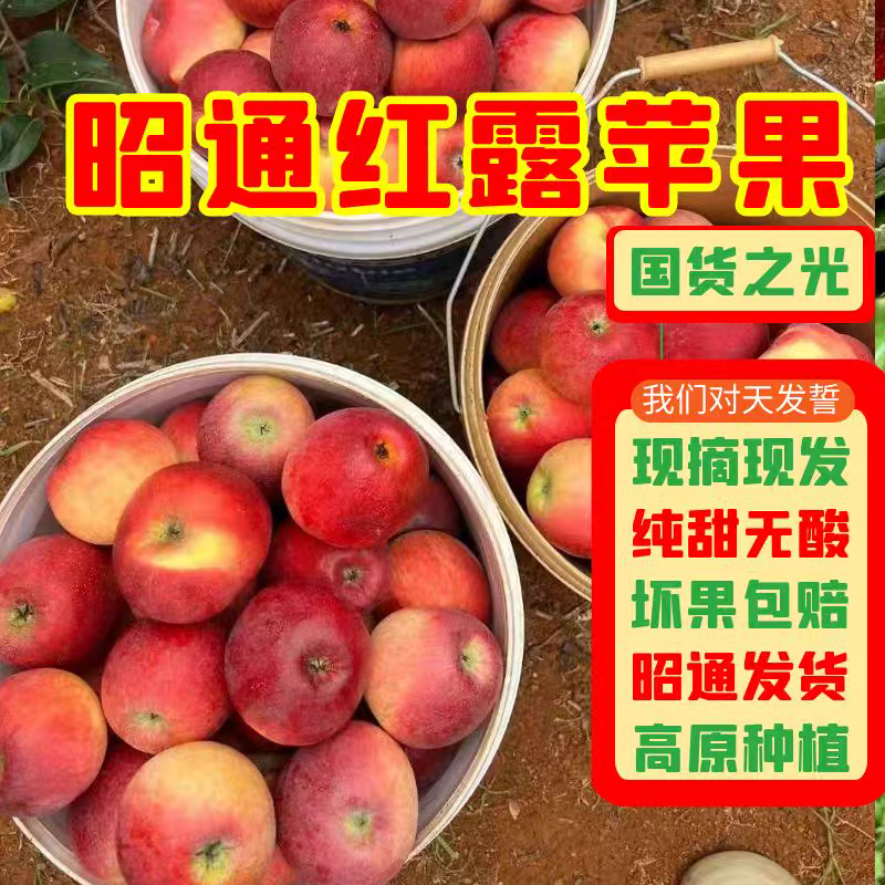 《优选》苹果/昭通红露苹果/一件代发/自家种植