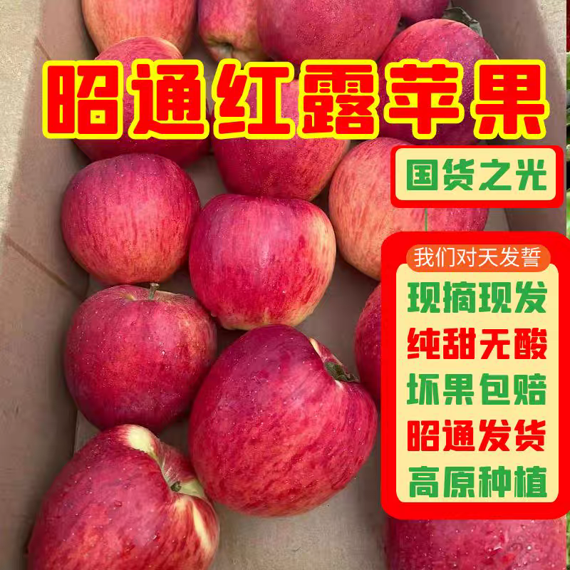 《优选》苹果/昭通红露苹果/一件代发/自家种植