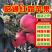 《优选》苹果/昭通红露苹果/一件代发/自家种植