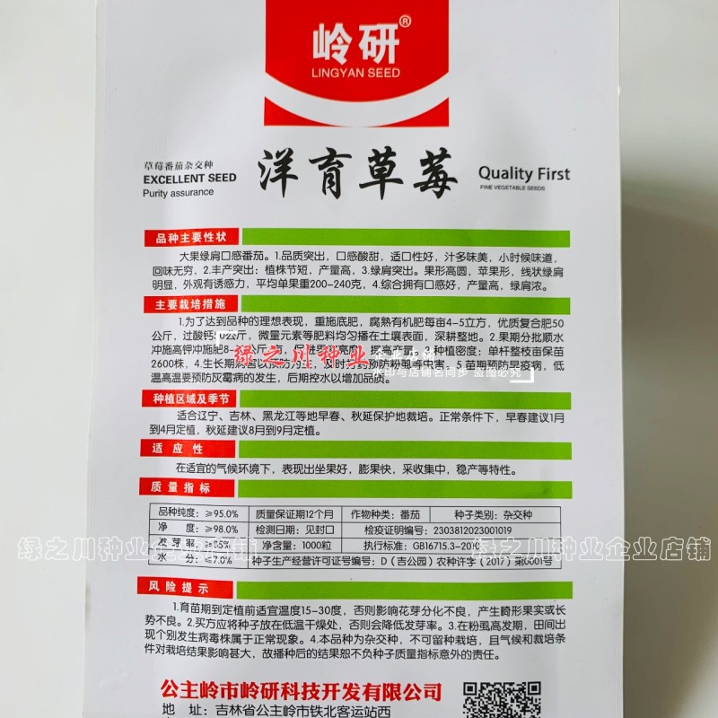 大果绿肩口感型番茄种子洋育草莓番茄种子酸甜多汁绿肩西红柿
