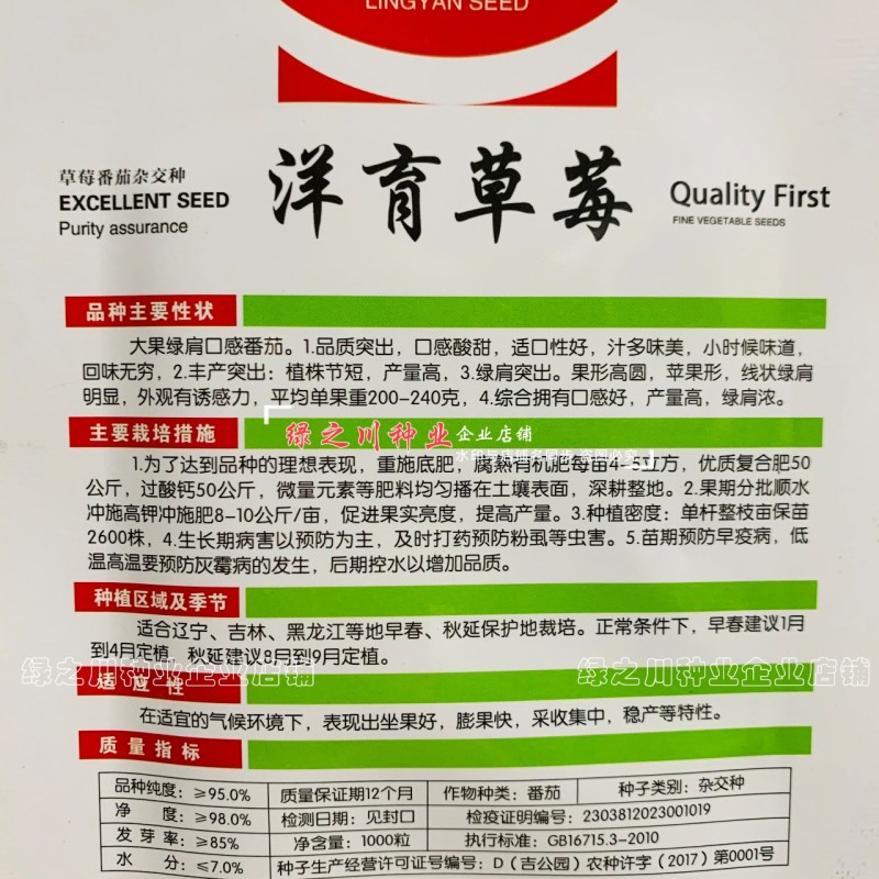 大果绿肩口感型番茄种子洋育草莓番茄种子酸甜多汁绿肩西红柿