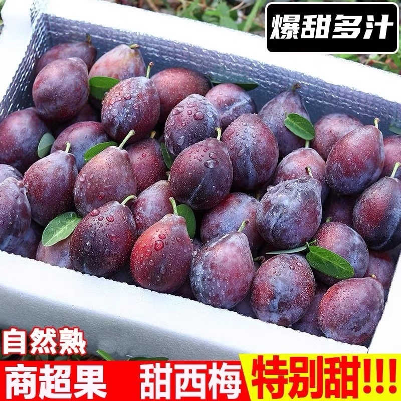 西梅