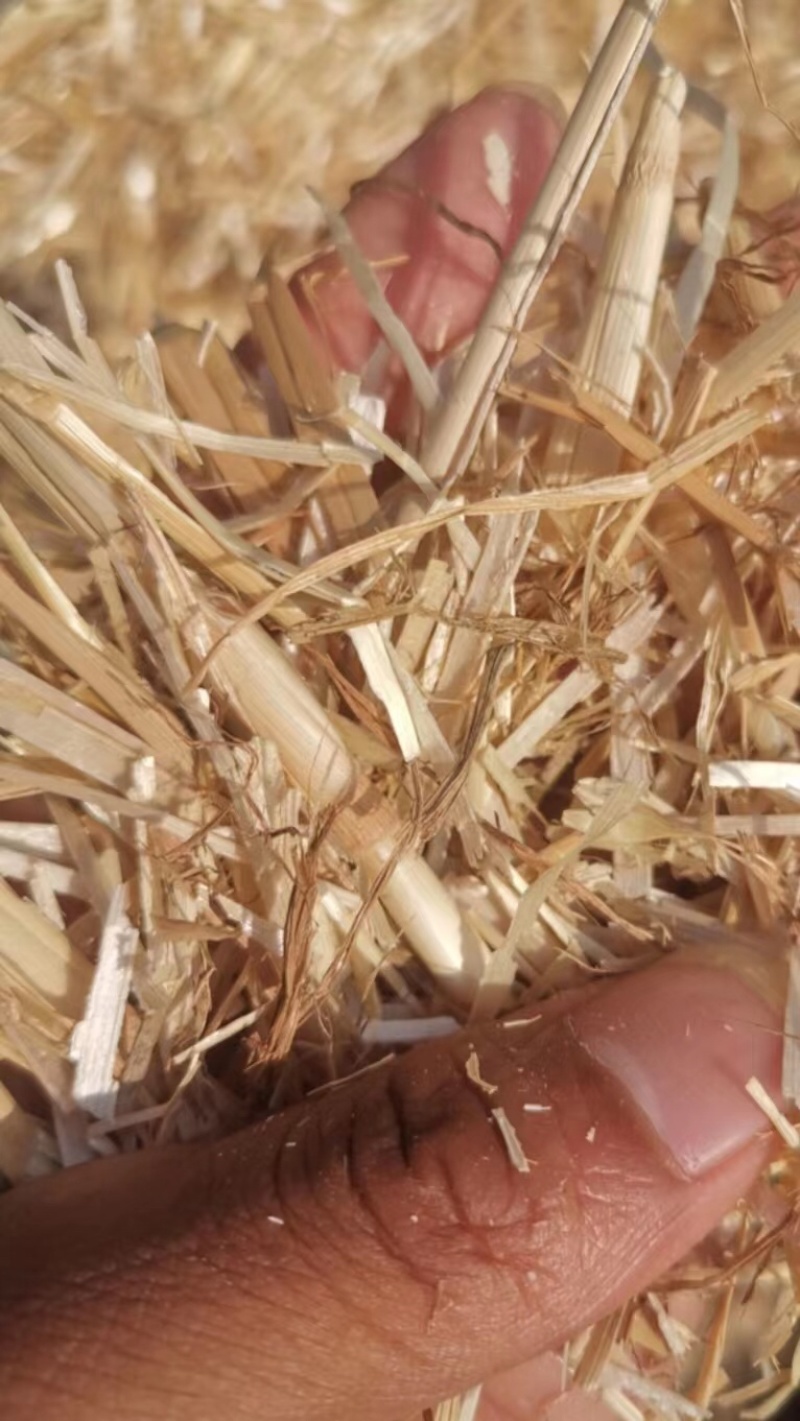 小麦秸秆小套袋揉丝双除尘过风选机器产地直发