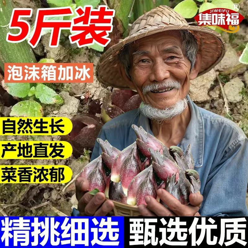 贵州山区野生现摘新鲜洋荷姜阳荷茗蔬菜洋荷野生洋藿
