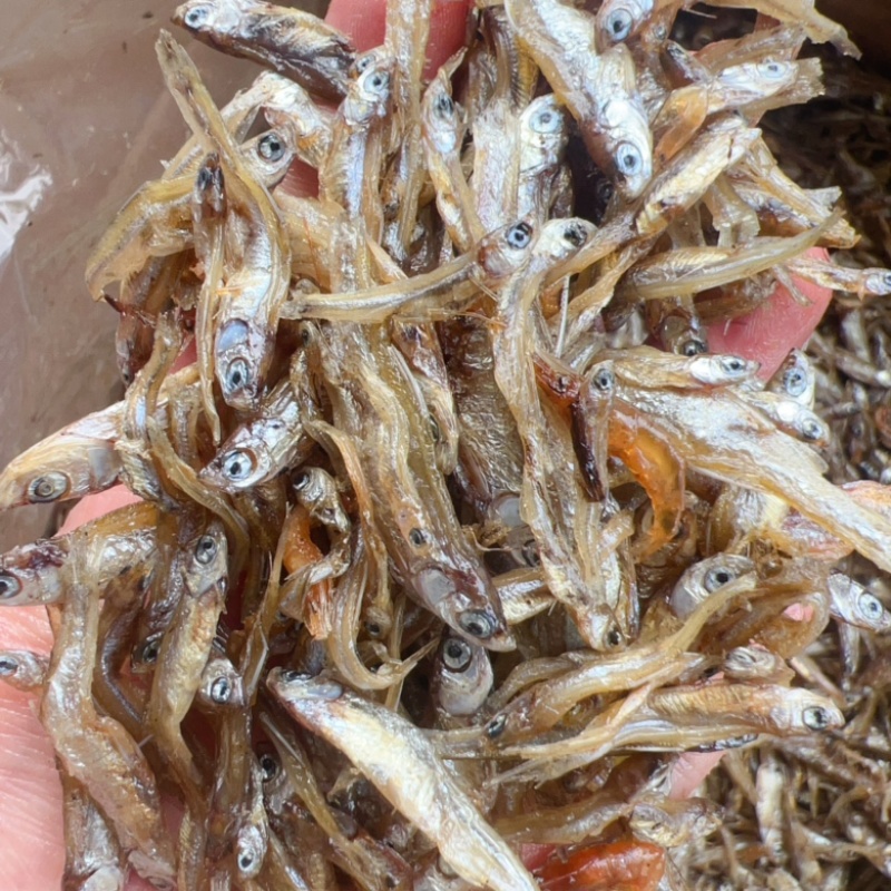 河鱼油炸鱼地摊电商批发2到3厘米小白肖鱼干