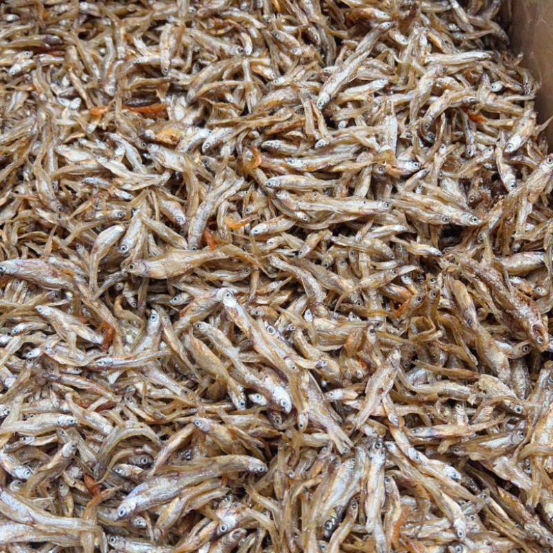 河鱼油炸鱼地摊电商批发2到3厘米小白肖鱼干