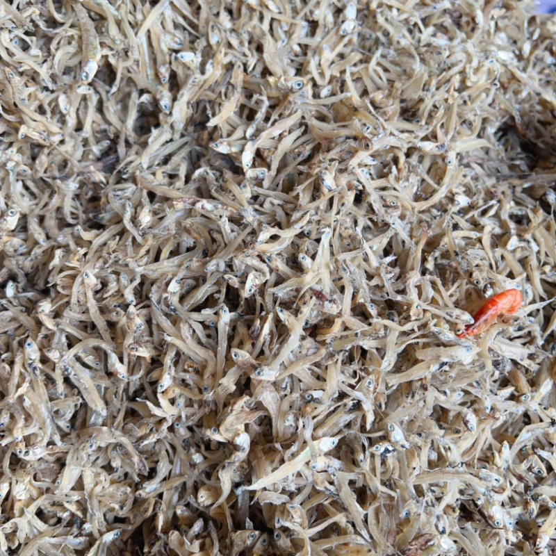 小鱼干干鱼地摊电商批发越南公鱼干丁香鱼干