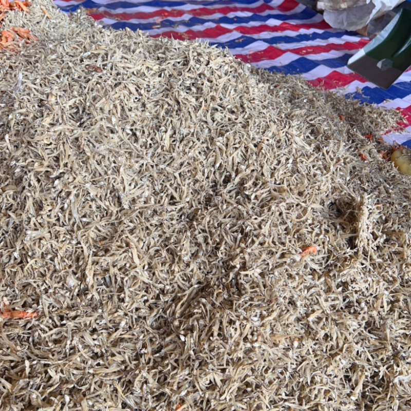 小鱼干干鱼地摊电商批发越南公鱼干丁香鱼干