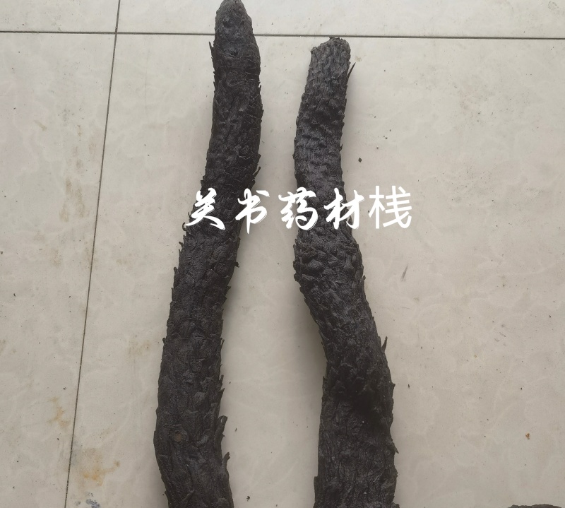 肉苁蓉，大云个内蒙阿拉善产25公分左右关书药业