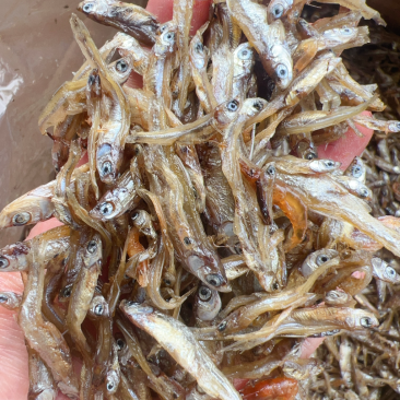 河鱼油炸鱼地摊电商批发2到3厘米小白肖鱼干干鱼