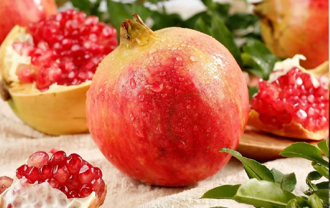 石榴果实剖面特写