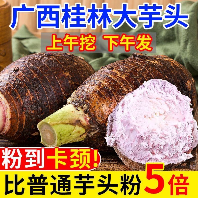 正宗广西荔浦新鲜大芋头粉香糯3/5/9斤包邮批发香芋槟榔
