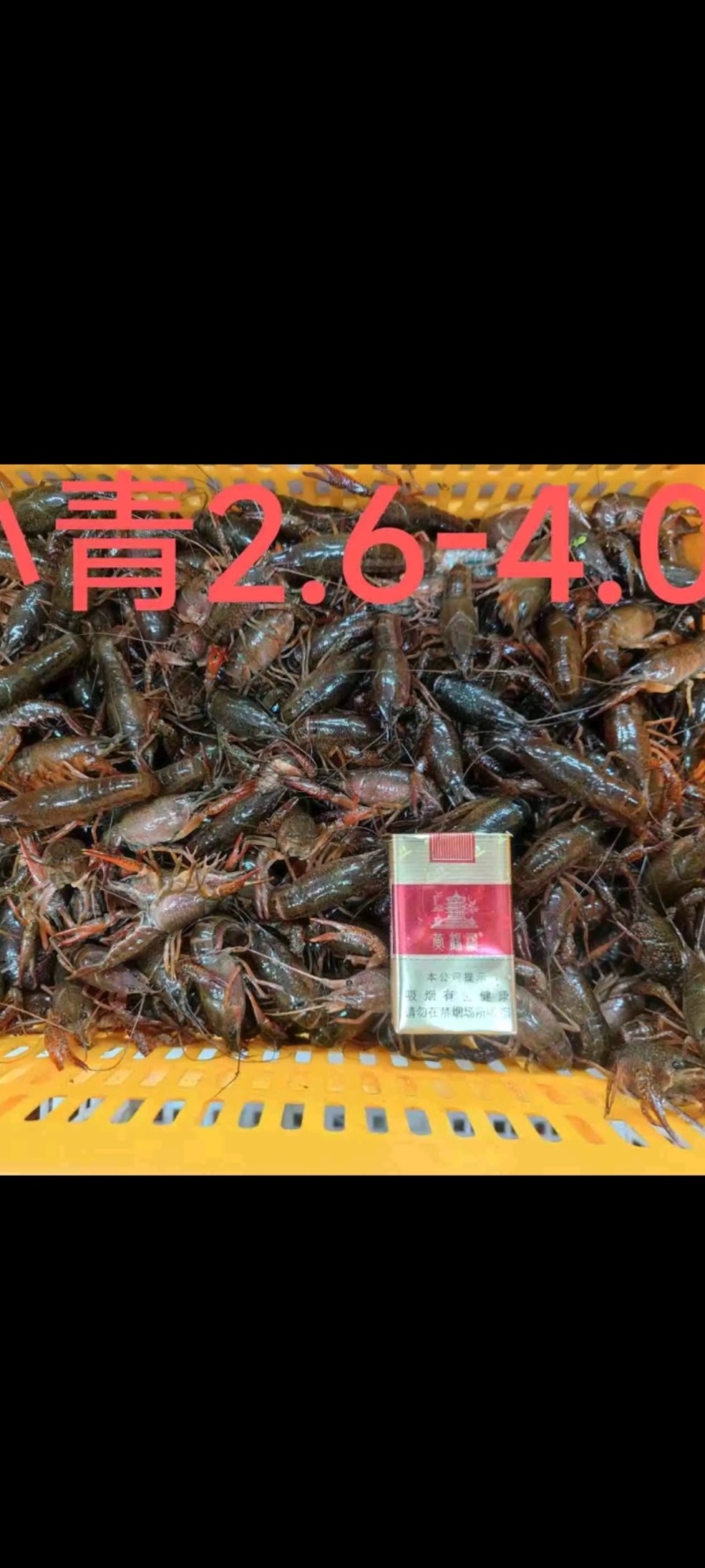 潜江小龙虾