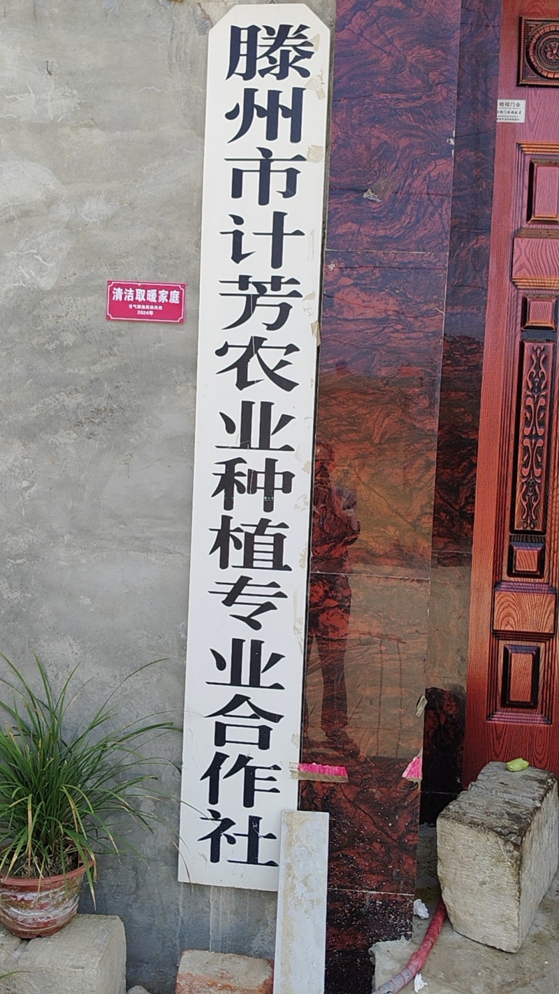 V7土豆/滕州土豆/规格齐全/基地现货/代发全国