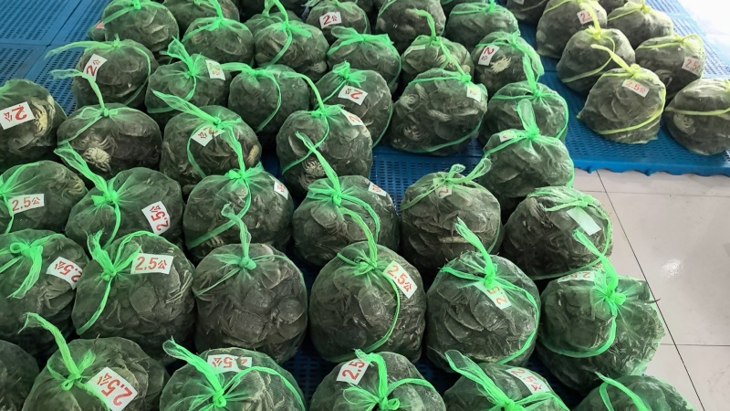 大闸蟹产地直发量大质优价格优惠一手货源要货随时联系