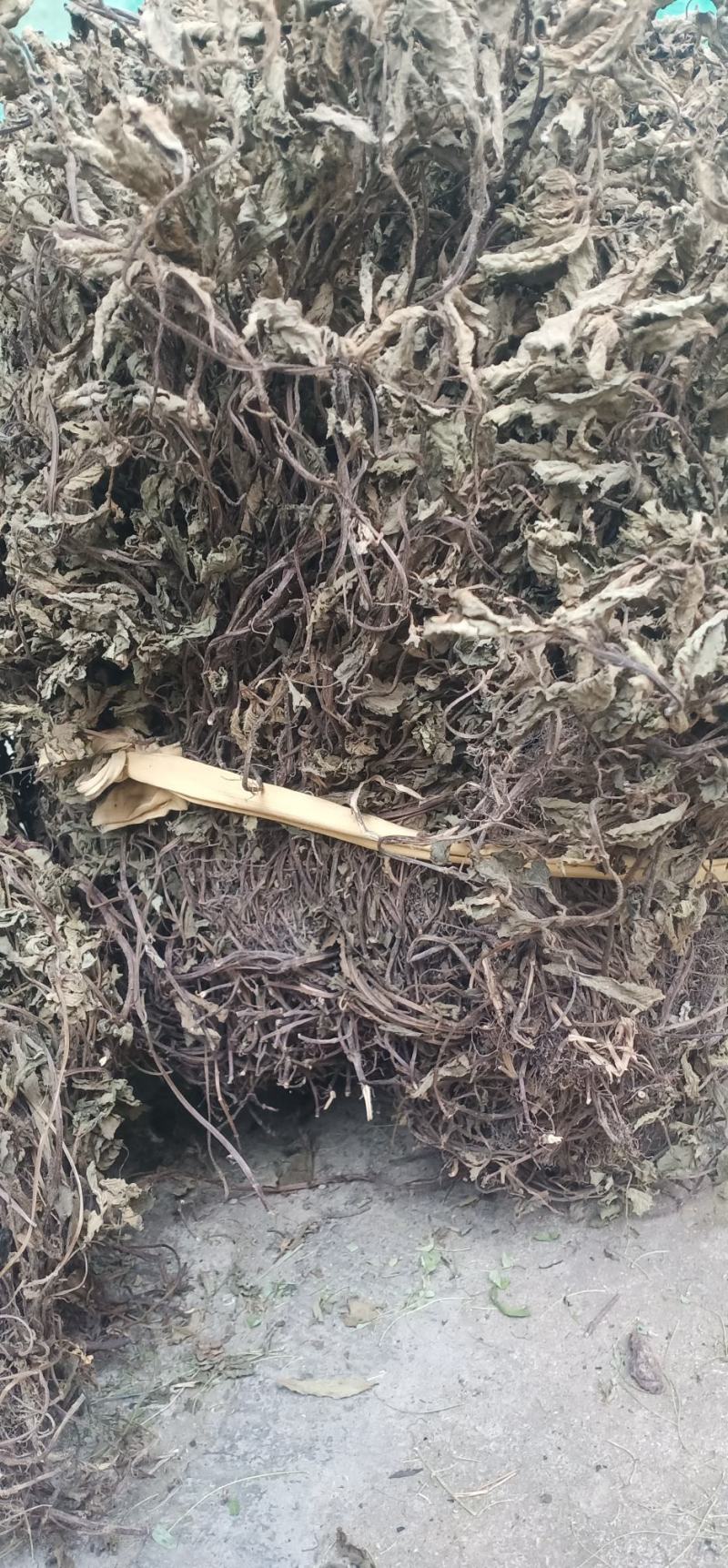 仙草凉粉草中药批发一手货源量大忧惠全国发货