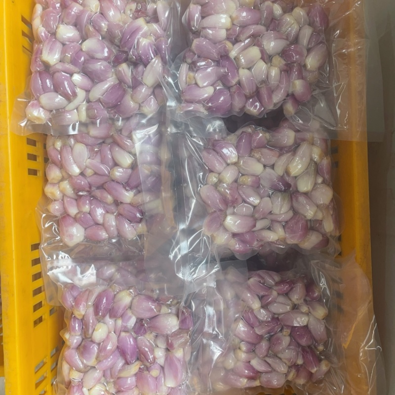 长年供应优质四川云南葱米餐厅食用葱米货源稳定