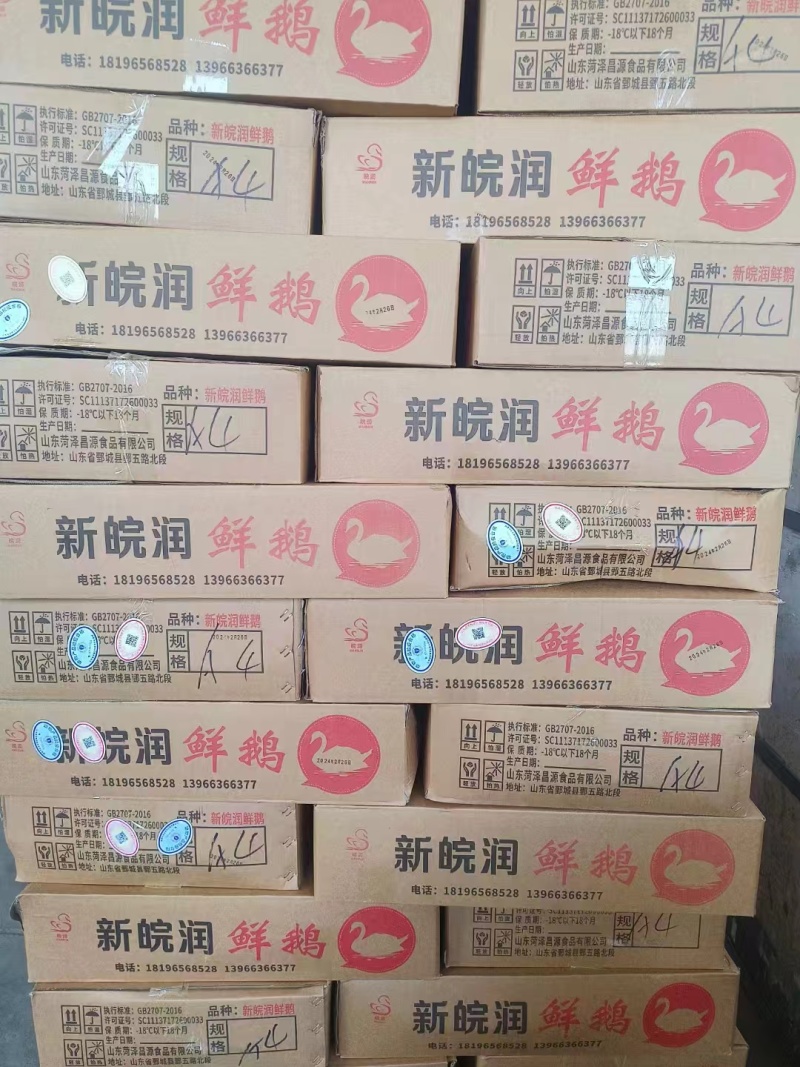 老鹅