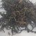 全品类滇红功夫茶，原生态大叶种红茶(滇红)，野生红茶