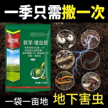 1%联苯·噻虫胺颗粒剂专杀地下害虫正品联苯噻虫胺整箱批发