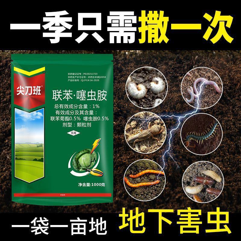 1%联苯·噻虫胺颗粒剂专杀韭蛆农药杀虫剂