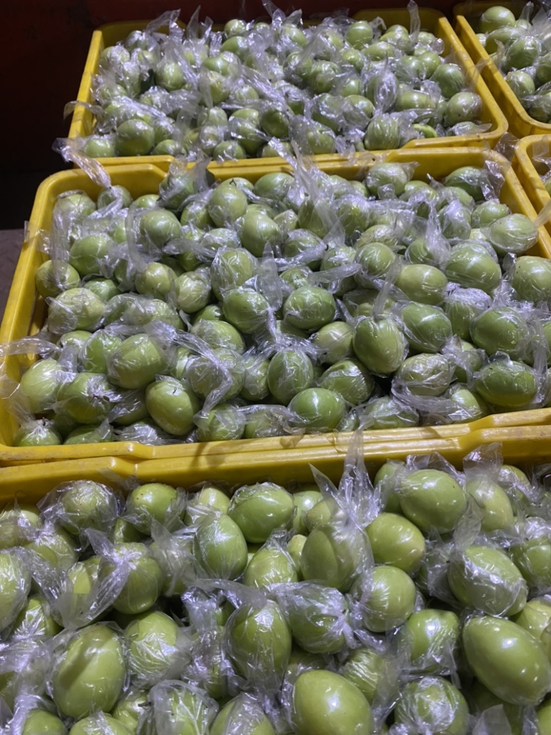 广西平南县大青枣1月底上市，产地直供代收代发