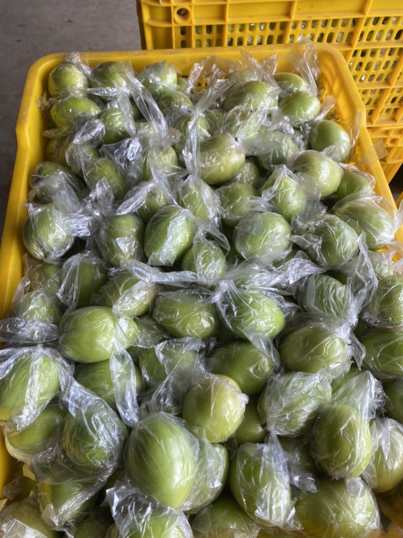 广西平南县大青枣1月底上市，产地直供代收代发